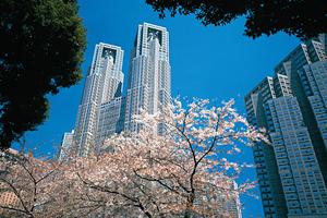 札幌市で新築の注文住宅を建てたいなら